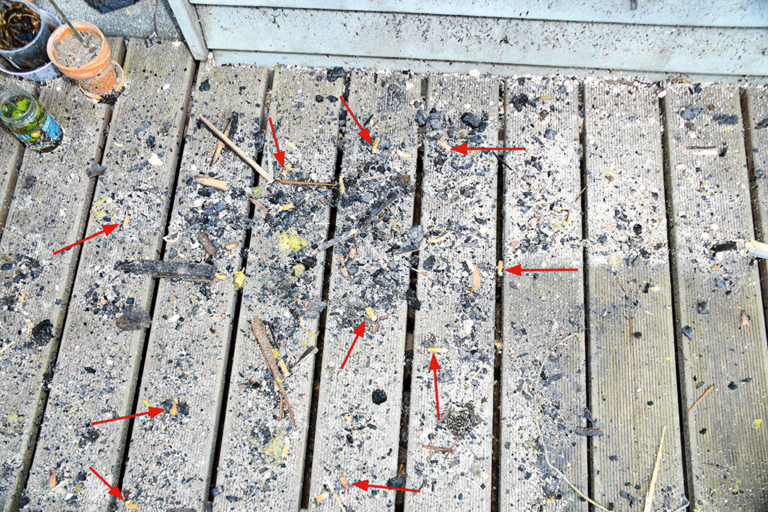 Bild 5 / Kippen aus dem Eimer sind auf den darunter liegenden Balkon gerieselt.