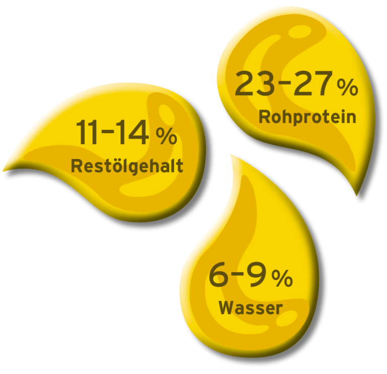 Zusammensetzung des Ölsaatkuchens  Laut den Angaben eines Herstellers besteht ein Ölsaatkuchen aus ganzen ungeschälten Sonnenblumenkernen und anderen aus den in der Grafik abgebildeten Anteilen. [1]